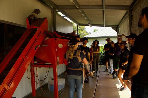 Pecan Farm Tour And Workshop, Byron Bay Hinterland - Kingaroy Accommodation 4