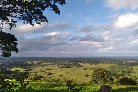 Pecan Farm Tour And Workshop, Byron Bay Hinterland - Kingaroy Accommodation 1