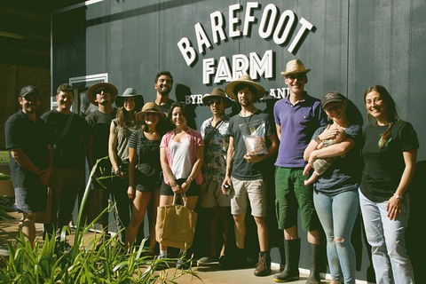 Pecan Farm Tour And Workshop, Byron Bay Hinterland - Kingaroy Accommodation 0