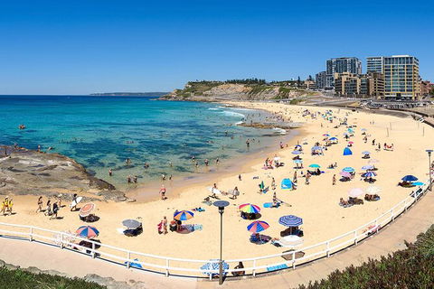 Newcastle Scenic Explorer - 2 Hour Tour By Minibus - Kingaroy Accommodation 16