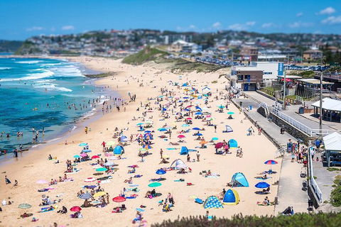 Newcastle Scenic Explorer - 2 Hour Tour By Minibus - Kingaroy Accommodation 6