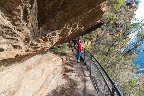 Blue Mountains Highlights & Wildlife Park - Kingaroy Accommodation 0