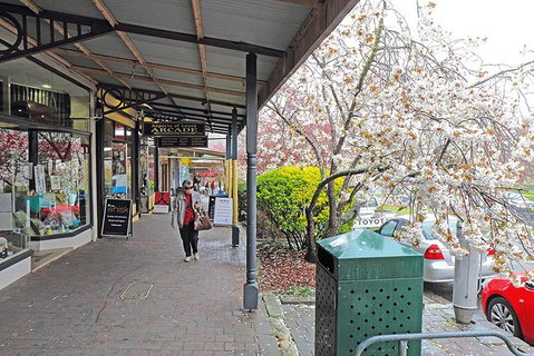 Blue Mountains Highlights & Wildlife Park - Kingaroy Accommodation 2
