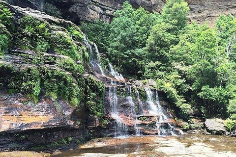 Blue Mountains Highlights & Wildlife Park - Kingaroy Accommodation 8