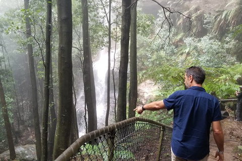Blue Mountains Highlights, Wildlife Park And Scenic World Full Day Private Tour - Kingaroy Accommodation 6