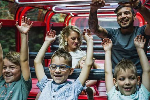 Blue Mountains Highlights, Wildlife Park And Scenic World Full Day Private Tour - Kingaroy Accommodation 5