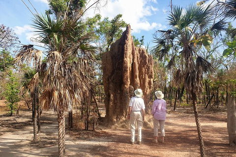 ETHICAL ADVENTURES - Dry Season Litchfield Region, Max 10 Guests - Kingaroy Accommodation 9