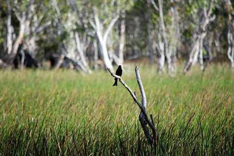 ETHICAL ADVENTURES - Dry Season Litchfield Region, Max 10 Guests - Kingaroy Accommodation 2