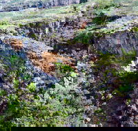 Jabiru 30 minute Scenic Flight - Kingaroy Accommodation