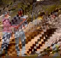 Karrke Aboriginal Cultural Experience - Kingaroy Accommodation