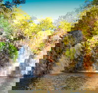 Litchfield National Park Waterfalls Day Trip From Darwin Including Termite Mounds and Lunch - Kingaroy Accommodation