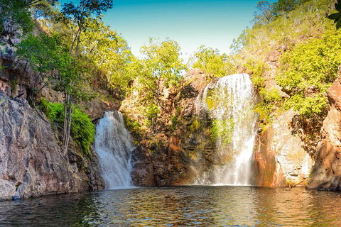 Litchfield National Park Waterfalls Day Trip From Darwin Including Termite Mounds And Lunch - Kingaroy Accommodation 0