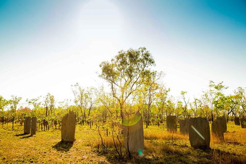 Litchfield National Park Waterfalls Day Trip From Darwin Including Termite Mounds And Lunch - Kingaroy Accommodation 1
