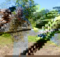 Kakadu  Arnhem Land tour Camping tour - Kingaroy Accommodation