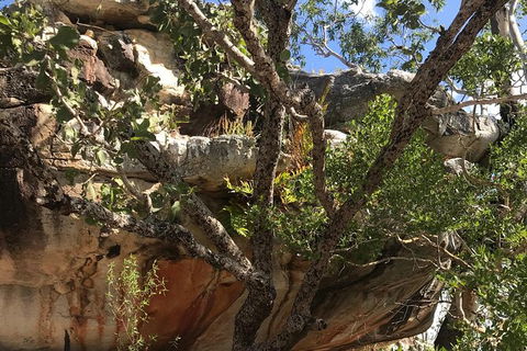 2-Hour 4WD Tour: Groote Eylandt Snapshot - Kingaroy Accommodation 3