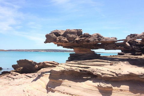 Groote Eylandt Tour: Hanging Rock Cave Paintings - Kingaroy Accommodation 0