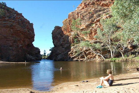 Full-Day West MacDonnell Ranges Tour From Alice Springs - Kingaroy Accommodation 5