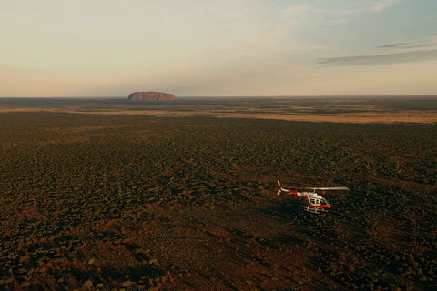 Helicopter Scenic: Lizard Safari - Kingaroy Accommodation 4