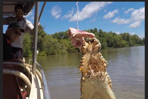 Pathfinder Jumping Crocodile Cruise Shuttle Bus - Kingaroy Accommodation 7