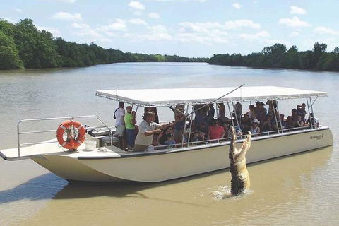 Pathfinder Jumping Crocodile Cruise Shuttle Bus - Kingaroy Accommodation 1