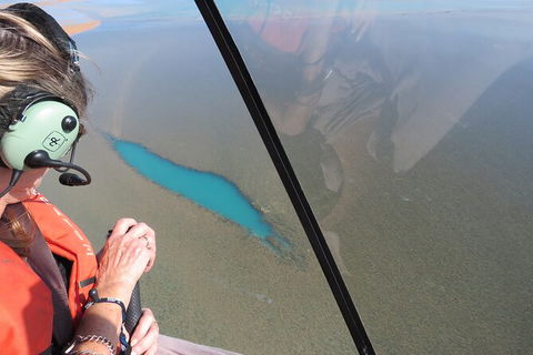Private Helicopter Pub Crawl Tour In Darwin - Kingaroy Accommodation 3
