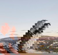 Best of Alice Springs Full Day Tour - Kingaroy Accommodation