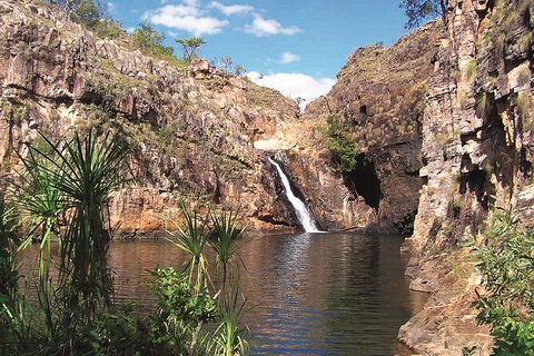 Kakadu, Katherine & Litchfield Adventure - Kingaroy Accommodation 1