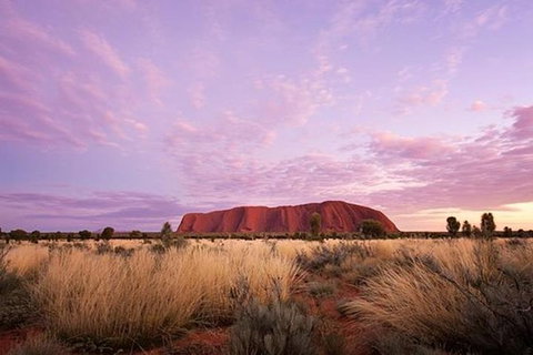 Sunset Australian Barbecue Dinner In Uluru - Kingaroy Accommodation 0