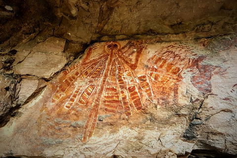 Arnhem Land Injalak Hill Full-Day Tour From Darwin - Kingaroy Accommodation 1