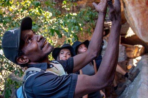 Arnhem Land Injalak Hill Full-Day Tour From Darwin - Kingaroy Accommodation 0