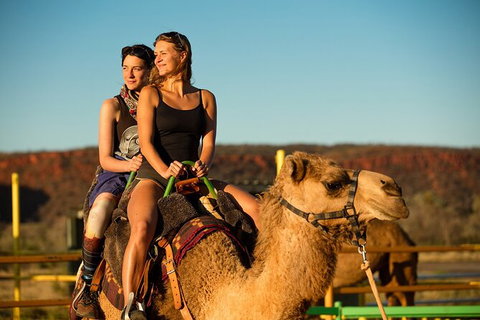 4 Day/3 Night Perentie Dreaming Safari - Kingaroy Accommodation 1