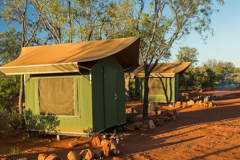 4 Day/3 Night Perentie Dreaming Safari - Kingaroy Accommodation 2