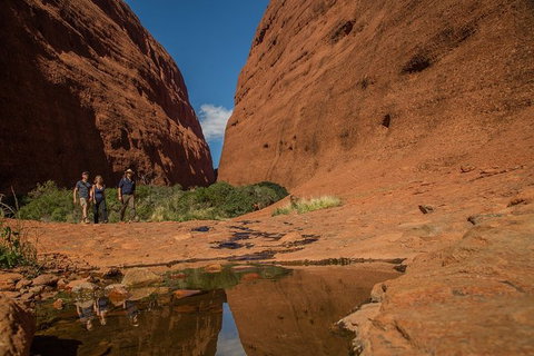 4 Day/3 Night Perentie Dreaming Safari - Kingaroy Accommodation 3
