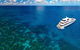Great Barrier Reef Snorkeling And Diving Cruise From Cairns - thumb 12