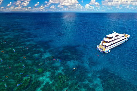 Great Barrier Reef Snorkeling And Diving Cruise From Cairns - Kingaroy Accommodation 12