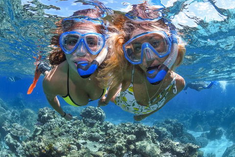 Great Barrier Reef Snorkeling And Diving Cruise From Cairns - Kingaroy Accommodation 10