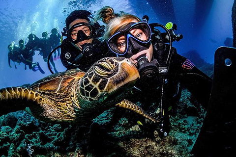 Great Barrier Reef Snorkeling And Diving Cruise From Cairns - Kingaroy Accommodation 11