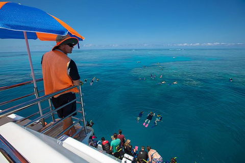 Great Barrier Reef Snorkeling And Diving Cruise From Cairns - Kingaroy Accommodation 4