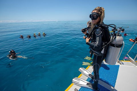 Great Barrier Reef Snorkeling And Diving Cruise From Cairns - Kingaroy Accommodation 7