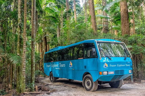 All-Inclusive Fraser Island Day Tour - Kingaroy Accommodation 0