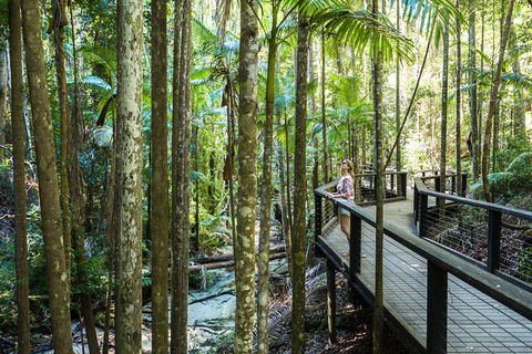 All-Inclusive Fraser Island Day Tour - Kingaroy Accommodation 7