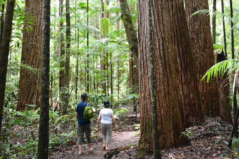 All-Inclusive Fraser Island Day Tour - Kingaroy Accommodation 6