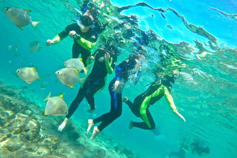 Half-Day Kayak, SUP And Snorkel Tour At Wave Break Island With Lunch - Kingaroy Accommodation 7
