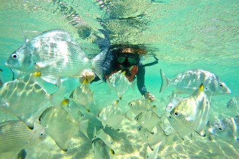 Half-Day Kayak, SUP And Snorkel Tour At Wave Break Island With Lunch - Kingaroy Accommodation 9