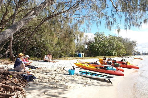 Half-Day Kayak, SUP And Snorkel Tour At Wave Break Island With Lunch - Kingaroy Accommodation 8