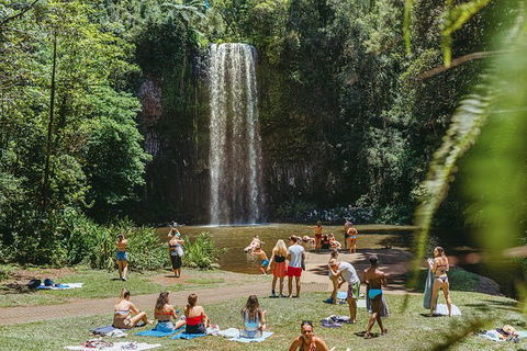 Atherton Tablelands Waterfalls And Rainforest Day Tour Departing Cairns - Kingaroy Accommodation 4