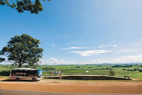 Atherton Tablelands Waterfalls And Rainforest Day Tour Departing Cairns - Kingaroy Accommodation 9