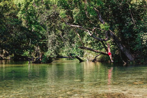 Atherton Tablelands Waterfalls And Rainforest Day Tour Departing Cairns - Kingaroy Accommodation 3