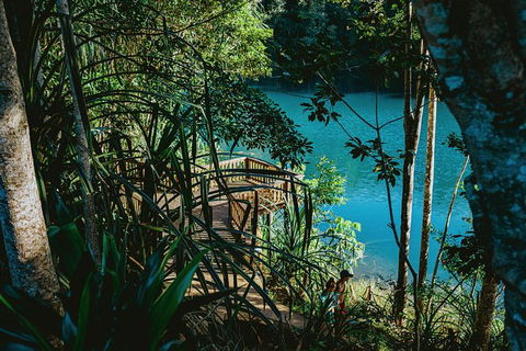 Atherton Tablelands Waterfalls And Rainforest Day Tour Departing Cairns - Kingaroy Accommodation 5