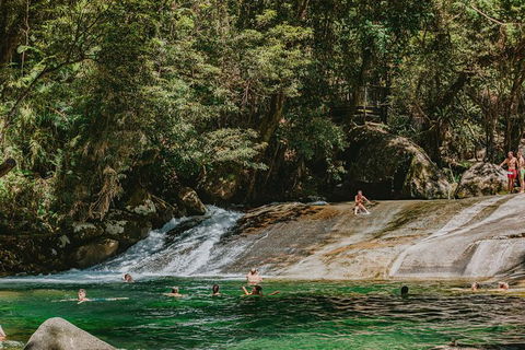 Atherton Tablelands Waterfalls And Rainforest Day Tour Departing Cairns - Kingaroy Accommodation 8